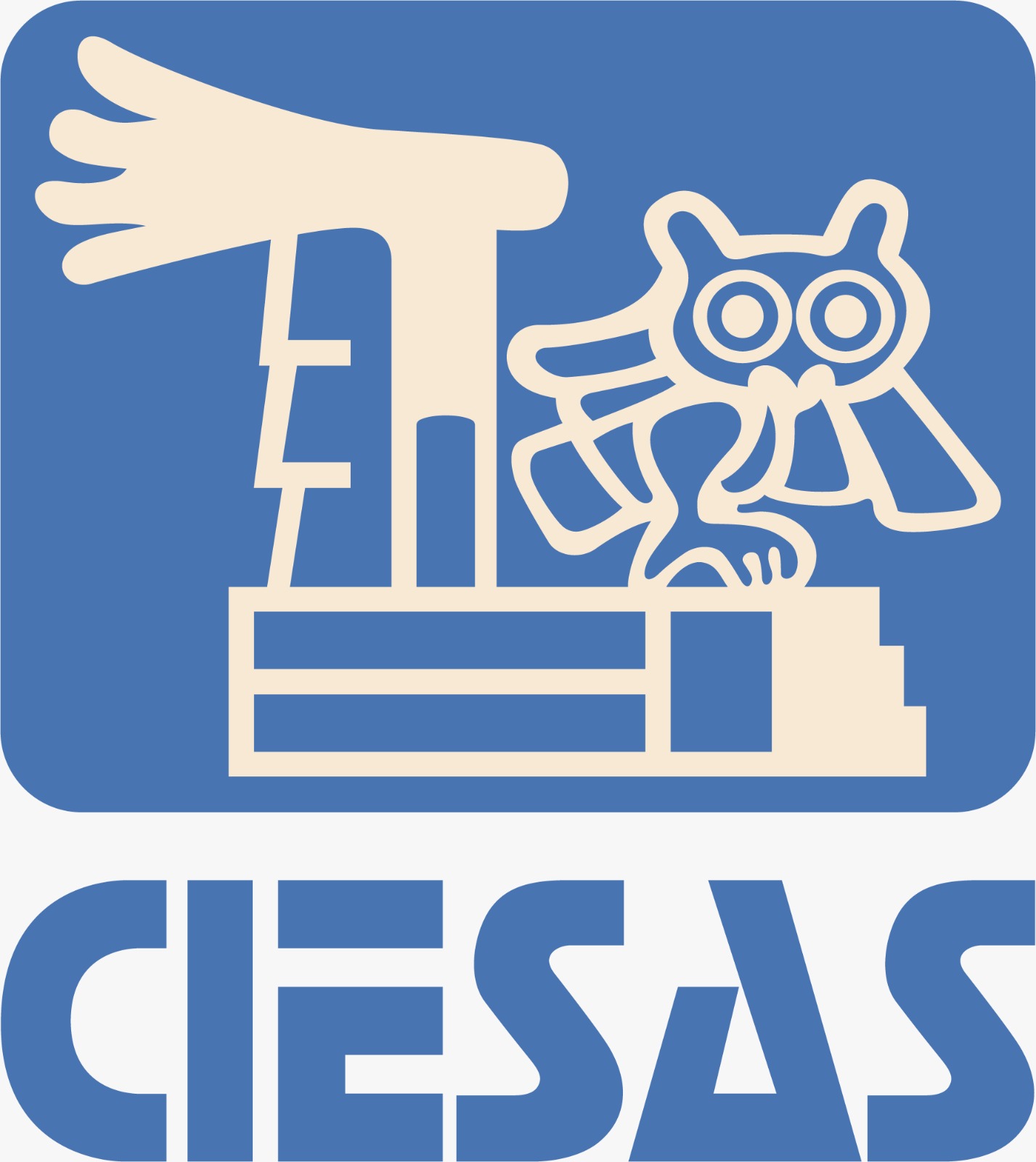 Centro de Investigaciones y Estudios Superiores en Antropología Social
