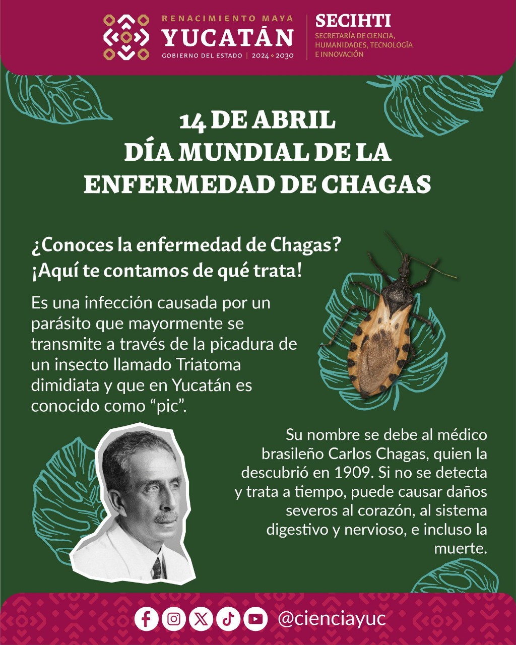 Chagas