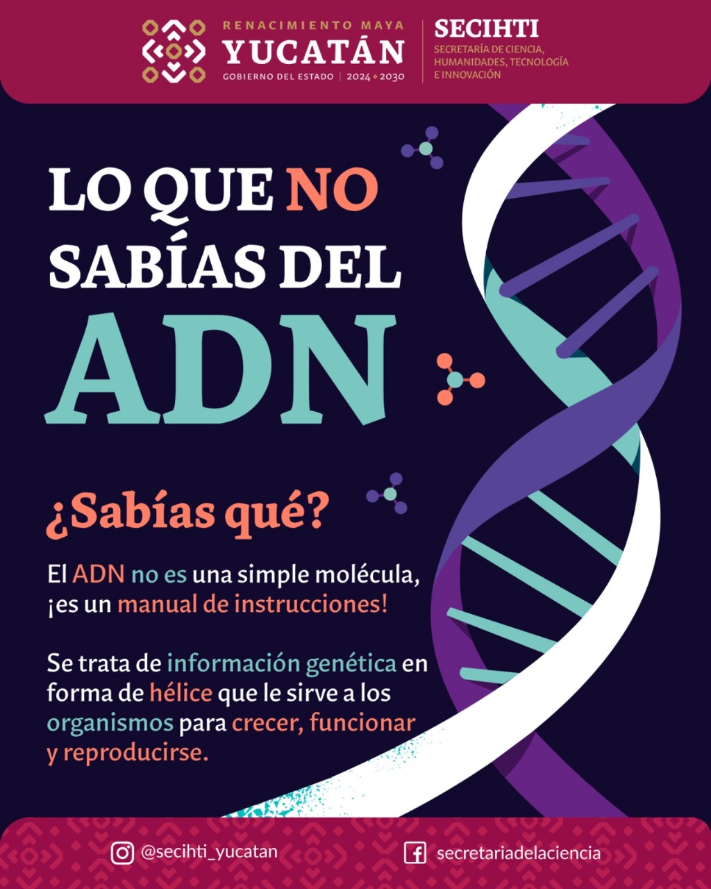 ADN