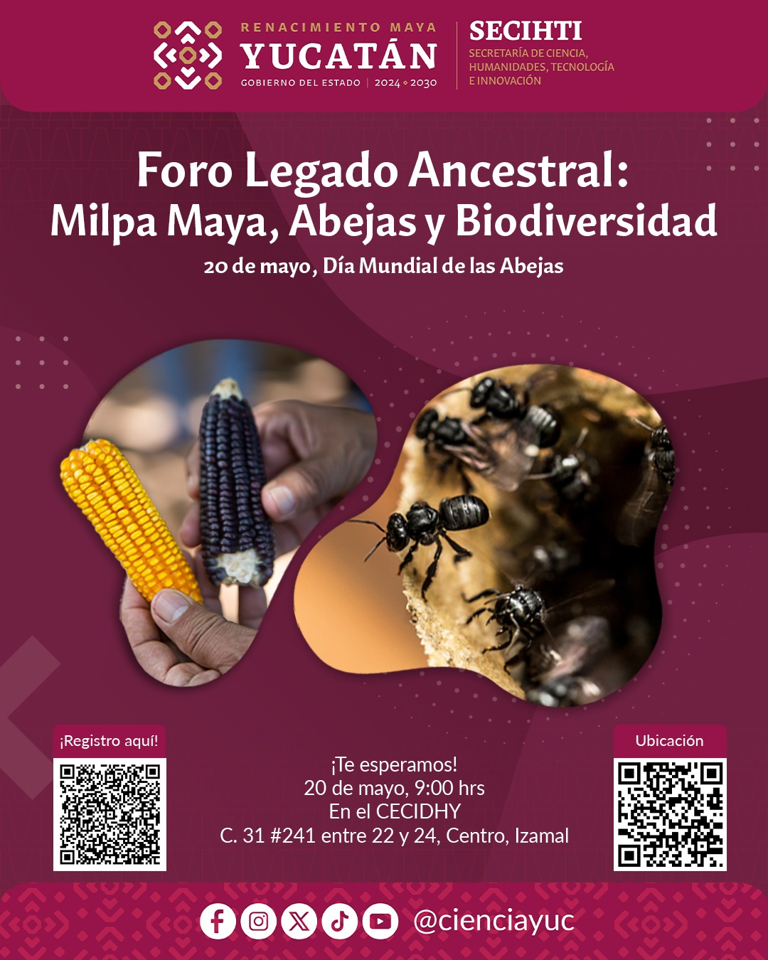 ¡Únete al diálogo sobre la riqueza ancestral maya!