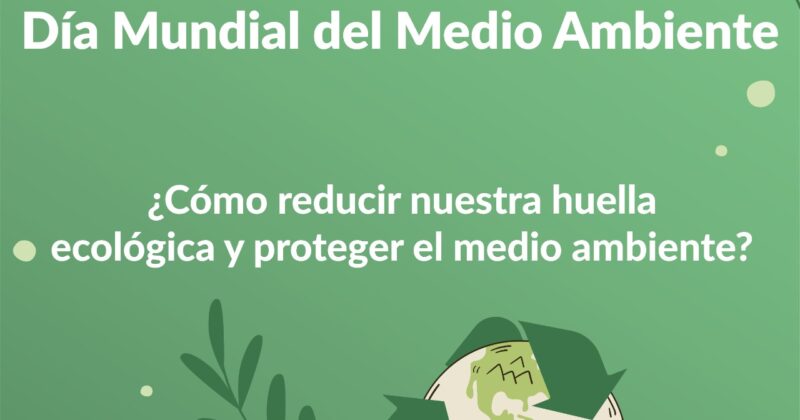 Día del Medio Ambiente