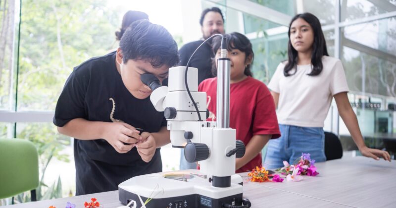 ¿Sabías que cada flor tiene una historia que contar?