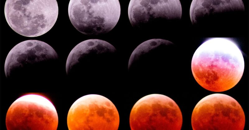 Secihti y Sociedad Astronómica de la UADY acercan conocimiento a las juventudes