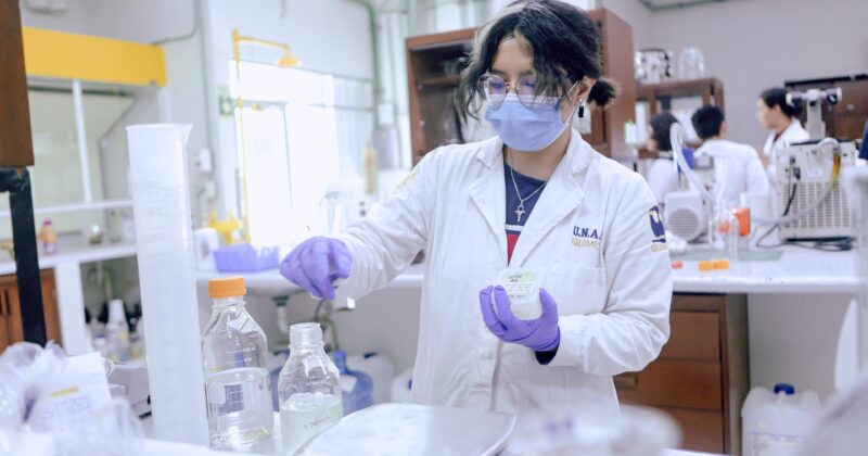 Impulsa el Renacimiento Maya la investigación e innovación