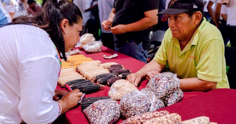 Gobierno del Estado impulsa conservación de saberes mayas