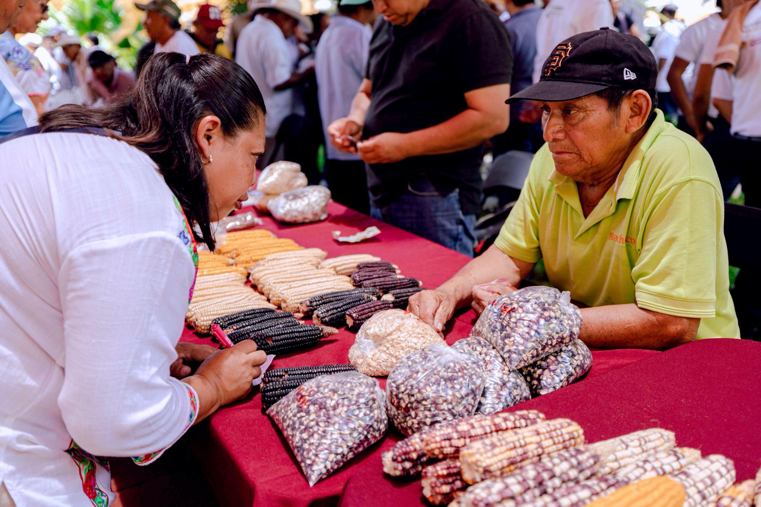 Gobierno del Estado impulsa conservación de saberes mayas