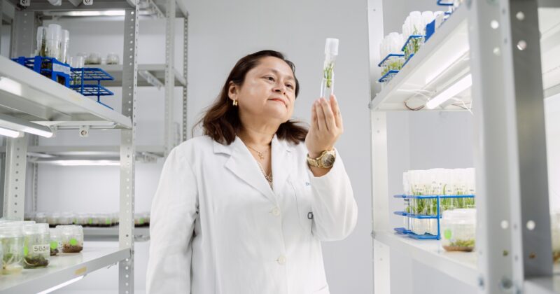 Especialistas mundiales en biotecnología se reunirán en Yucatán